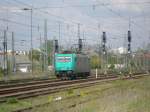 Am 26.4.08 kommt 185 575 Tfzf in Richtung Dessau durch den Bf.