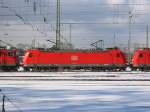 185 089 in der Bildmitte gehrte am 27.02.2005 zu den Loks, die beim Gter- und Rangierbahnhof Karlsruhe abgestellt waren. Die Lok war eingerahmt von einer 155 links und einer weiteren 185 rechts.