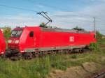 185 004-9 wartet am 24.05.2010 in Angermnde auf ihren nchsten Einsatz