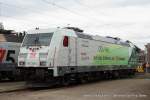 185 389-4 (CO2-frei auf der Schiene mit DB Schenker) steht am 19. September 2010 im Betriebswerk Osnabrck (Doppeljubilum: 125 Jahre Betriebswerk Osnabrck und 175 Jahre Eisenbahn in Deutschland)