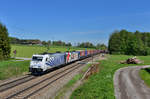 185 663 + 185 664 mit DGS 43139 am 10.05.2017 bei Vogl.