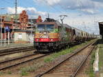 Am 23.07.2017 kam 185 602 mit einem Tranceraleszug aus Richtung Magdeburg nach Stendal und fuhr weiter in Richtung Salzwedel.