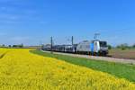 185 716 mit einem Autozug am 06.05.2017 bei Unternberg.