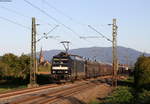 185 557-6 mit dem DGS 46379 (Mullhouse Nord-Bernhardsthal Fbf) bei Köndringen 19.9.19