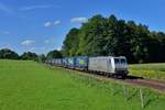 185 531 mit DGS 43949 am 13.08.2016 bei Vogl.