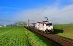 185 589 mit einem Kesselzug am 05.10.2022 bei Würenlos.