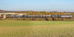 Und noch mal die Brücke der Autobahn A7: Am 18.10.17 zog eine Rheincargo-Lok dort einen Güterzug westwärts.