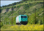 ATLU 185 616-0 am 19.05.2026 allein im Maintal bei Th�ngersheim gen S�den unterwegs.