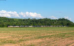 185 571 und 185 563 mit dem DGS 44660 (Rothenburg Station - Gro�korbetha) bei Kenzingen 27.5.26