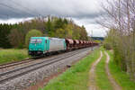 185 616 ATLU mit einem Getreidezug bei Postbauer-Heng Richtung N�rnberg, 24.04.2022