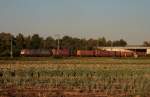 Crossrail Br 185 mit Containerzug bei Gro-Gerau in Richtung Mainz-Bischofsheim. 22.09.10