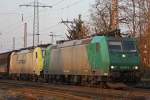 Die Captrain 185 517 zieht am 29.1.11 die Captrain 186 142 und einen Papierzug durch Ratingen-Lintorf.