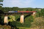 185 xxx mit Containerzug bei Beratzhausen (23.08.2012)