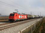 Die 185 589 mit einem Kesselzug am 29.10.2011 unterwegs bei Hattenhofen.
