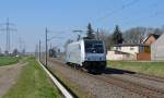 185 696 war am 15.04.15 unterwegs in Richtung Magdeburg als sie ohne Wagen Braschwitz passierte.