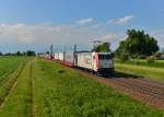 185 665 mit einem KLV am 01.06.2015 bei Plattling.