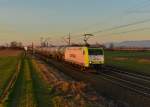 185 505 mit einem Kesselzug am 26.12.2015 bei Plattling.