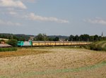 Die 185 614 mit einem umgeleiteten Autozug am 09.09.2016 unterwegs bei Fahlenbach.