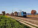 Die 185 510 mit einem Güterzug am 01.11.2015 unterwegs bei Langenisarhofen.