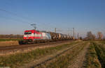 Am frühen Morgen des 25.03.2020 zeigte sich die RHC 185 350 mit dem DGS 60975 bei Windsfeld Richtung Süden.