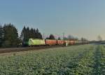 185 389 mit einem Güterzug am 28.12.2015 bei Langenisarhofen.