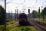 185 207-8 DB fährt aus dem Viersener Güterbahnhof mit einem Coilleerzug aus Venlo(NL) nach Bremen(D) und fährt in Richtung und fährt in Richtung Anrath,Krefeld.