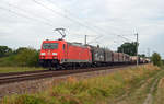 Am 17.08.19 schleppte 185 310 einen gemischten Güterzug durch Jeßnitz Richtung Bitterfeld.