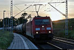 Im letzten Abendlicht durchfährt ein Kesselzug mit 185 290-4 DB den Hp Zscherben auf der Bahnstrecke Halle–Hann.