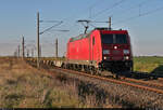 185 248-2 fährt mit leeren Containertragwagen bei Eismannsdorf (Niemberg) Richtung Halle (Saale).