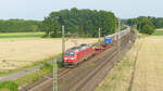 185 009 mit einem Güterzug Richtung Bremen kurz vor der Durchfahrt durch den Bahnhof Linsburg.
Aufgenommen im Juni 2022.