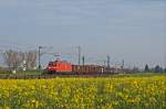 185 063-5 zieht einen gemischten Güterzug durch die Rapsfelder bei Biebesheim in Richtung Mannheim.