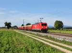 Die 185 253 mit einem Güterzug am 16.09.2012 unterwegs bei Langenisarhofen.