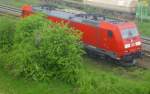 Eine rote Lok kann man nicht hinter einem grünen Busch verstecken, wie die 185 201-1 am 11.05.2013 in Nordhausen