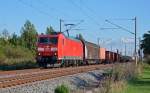 Mit einem gemischten Güterzug am Haken fuhr 185 159 am 27.09.13 durch Greppin Richtung Dessau.