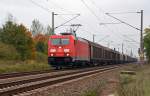 185 310 zog am 13.10.15 einen langen Güterzug durch Greppin Richtung Dessau.