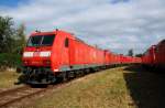 185 011 steht am 12.09.09 zusammen mit weiteren Loks im Werk Dessau abgestellt.