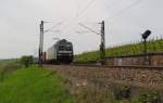 NIAG 185 573-3 mit einem Containerzug Richtung Wiesbaden, am 17.05.2012 bei Erbach (Rhg).