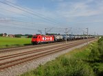 Die 185 589 mit einem Kesselzug am 10.06.2016 unterwegs bei Unterweilbach.
