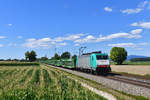 186 206 mit einem Autozug am 01.07.2018 bei Langenisarhofen.