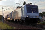 Kesselzug mit 186 264-8 und 187 507-9 (kalt) der Akiem S.A.S., vermietet an die CTL Logistics GmbH, fährt in Zscherben auf der Bahnstrecke Halle–Hann. Münden (KBS 590) Richtung Halle (Saale).
Aufgenommen im abendlichen Gegenlicht.
[26.6.2020 | 20:28 Uhr]