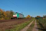 LINEAS Bombardier Traxx 186 232-5 in Babenhausen am 31.10.20