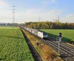 Railpool 186 427, vermietet an Lineas, mit Volvo-Logistikzug DGS 46256 Gent Zeehaven - Hallsberg RB (Marl, NI, 10.11.2021).