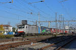 Doppeltraktion, mit den Loks 186 104-6 und 193 278-9 durchfährt den Bahnhof Pratteln.