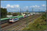 186 910 der SBB Cargo International verlässt am 30.09.2023 mit dem Rola-Zug Freiburg Gbf Richtung Novara. Ein zweiter Zug befindet sich noch in Beladung.