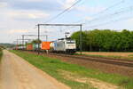 Belgiën 
Lok 186291 von Lineas mit Containerzug, in 's Herenelderen
3/5/2022