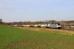 Belgiën 
Lok 186 504 vom Lineas zieht einem BASFzug vom Antwerpen nach Ludwigshafen in Wonck
26/2/2026