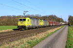 Deutschland 
Loks 186 115+186 116 von DBC ziehen einem leerem Kalkzug Millingen - Chätelet, in Bösinghoven
3/3/2026