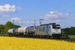 186 294-5 (Railpool / LINEAS) mit einem kurzen Kesselzug in Meerbusch B�singhoven, 21. April 2026