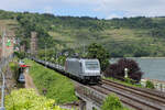 Akiem/CFLCA 186 359-6 passiert mit ihrem G�terzug die Stadtmauer in Oberwesel. (20.05.2026)