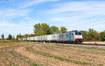 186 501 mit dem DGS 43531 (Genk-Zuid-R.O.-HAVEN - Domo II) bei Riegel 23.9.26